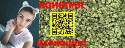 Альфа ПВП Жуковский